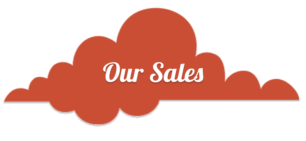 Our Sales